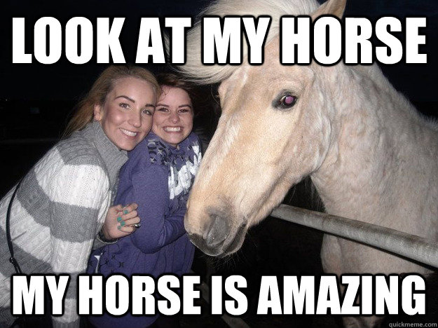 Look at my horse My horse is amazing  Ridiculously Photogenic Horse