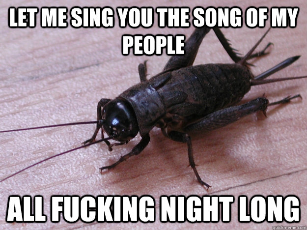 LET ME SING YOU THE SONG OF MY PEOPLE ALL FUCKING NIGHT LONG - LET ME SING YOU THE SONG OF MY PEOPLE ALL FUCKING NIGHT LONG  Scumbag Cricket