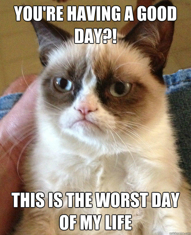 YOU'RE HAVING A GOOD DAY?! THIS IS THE WORST DAY OF MY LIFE - YOU'RE HAVING A GOOD DAY?! THIS IS THE WORST DAY OF MY LIFE  Grumpy Cat