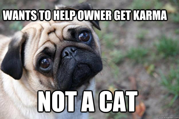Wants to help owner get karma not a cat  First World Dog problems
