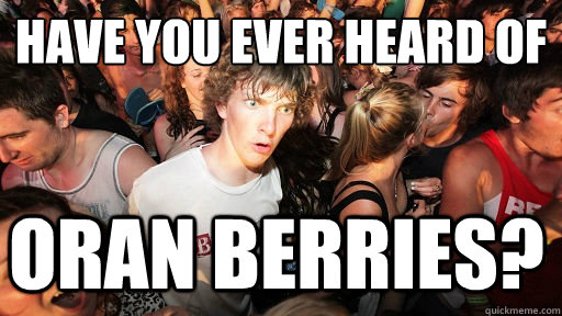 Have you ever heard of
 Oran Berries?  Sudden Clarity Clarence