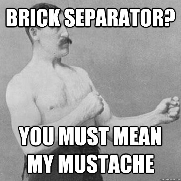 Brick separator? You must mean my mustache - Brick separator? You must mean my mustache  Misc