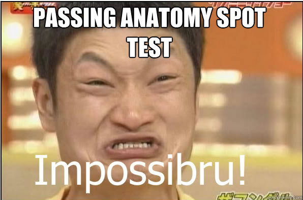 PASSING ANATOMY SPOT TEST  Impossibru