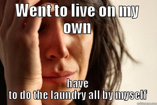 WENT TO LIVE ON MY OWN HAVE TO DO THE LAUNDRY ALL BY MYSELF First World Problems
