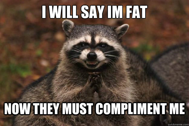 I will say im fat Now they must compliment me  Evil Plotting Raccoon