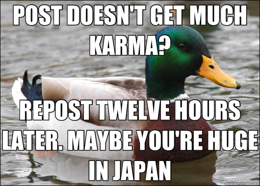POST DOESN'T GET MUCH KARMA? REPOST TWELVE HOURS LATER. MAYBE YOU'RE HUGE IN JAPAN  Actual Advice Mallard
