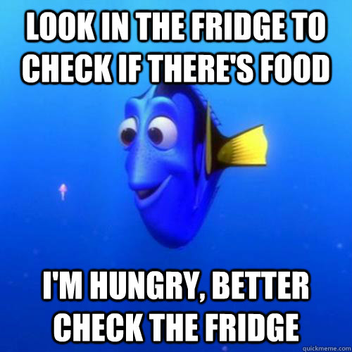 Look in the fridge to check if there's food I'm hungry, better check the fridge - Look in the fridge to check if there's food I'm hungry, better check the fridge  dory