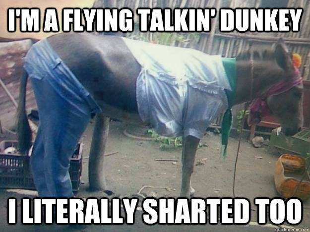 i'm a FLYING TALKIN' DUNKEY I LITERALLY SHARTED TOO  Do these pants