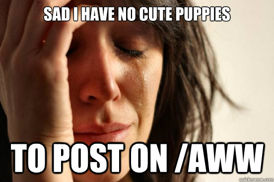 Sad I have no cute puppies to post on /aww  First World Problems