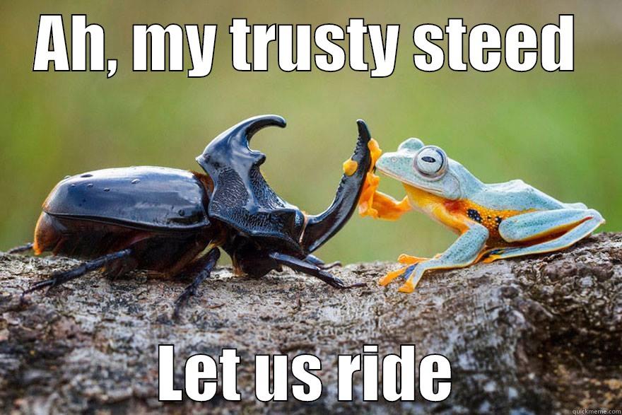 AH, MY TRUSTY STEED LET US RIDE Misc