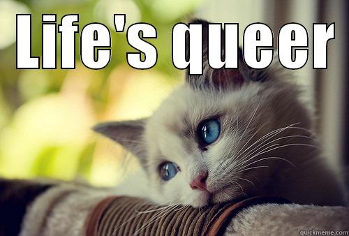  LIFE'S QUEER   First World Problems Cat