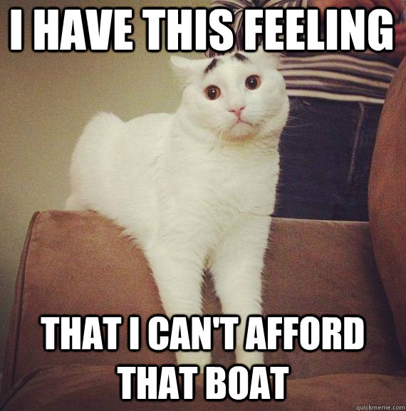 i have this feeling  that i can't afford that boat - i have this feeling  that i can't afford that boat  Permanently Worried Cat