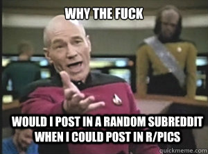 why the fuck would I post in a random subreddit when I could post in r/pics  Annoyed Picard