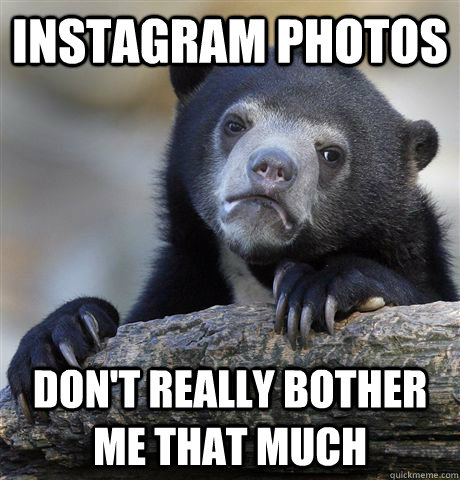 instagram photos don't really bother me that much  Confession Bear