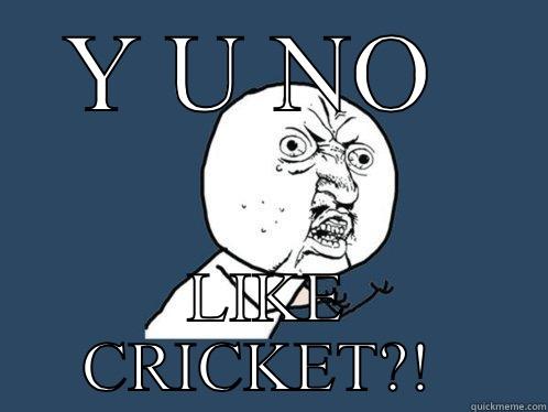 Y U NO  LIKE CRICKET?!  Y U No