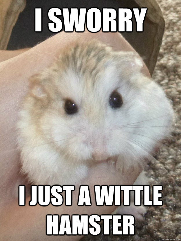 I Sworry  I just a wittle Hamster  Sad Hamster