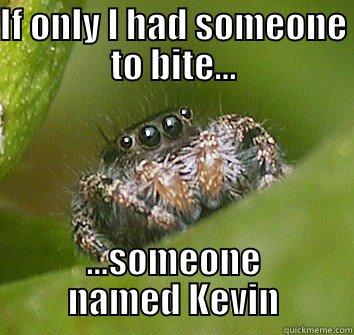 IF ONLY I HAD SOMEONE TO BITE... ...SOMEONE NAMED KEVIN Misunderstood Spider