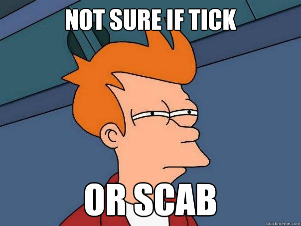not sure if tick or scab  Futurama Fry