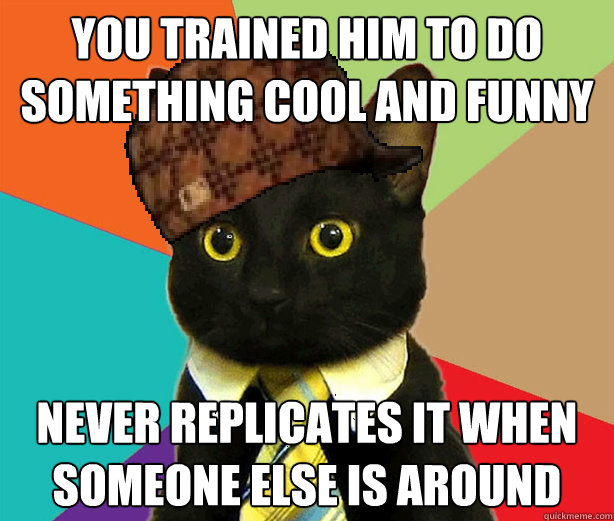 You trained him to do something cool and funny never replicates it when someone else is around  Scumbag Cat