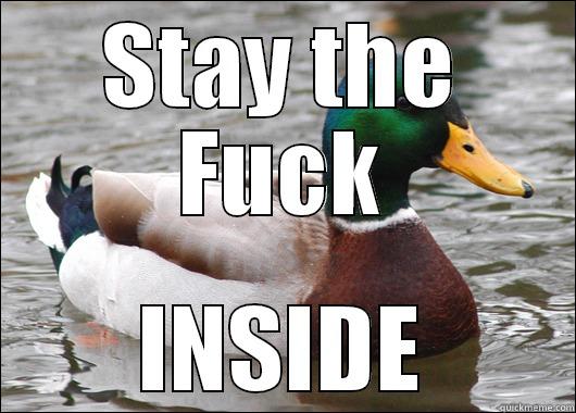 STAY THE FUCK INSIDE Actual Advice Mallard