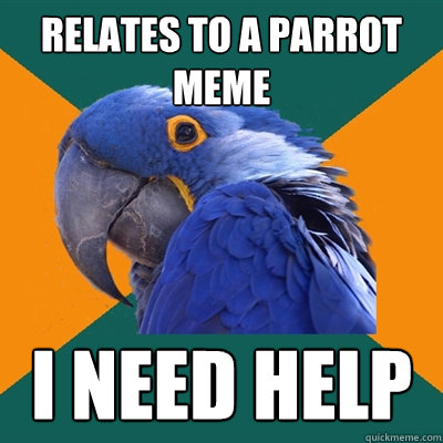 Relates to a parrot meme I need help  Paranoid Parrot