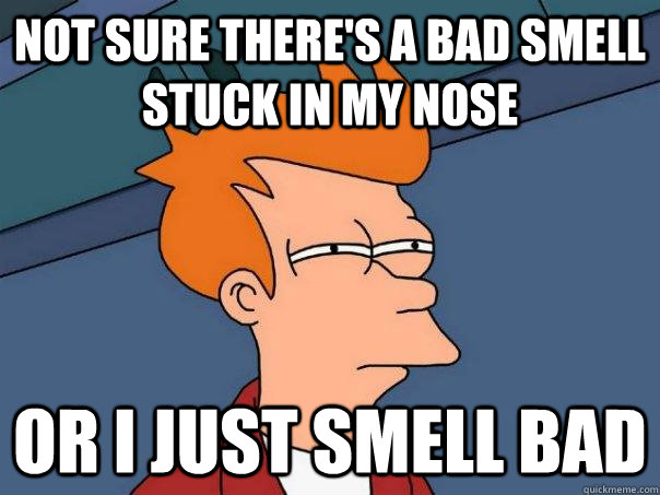 Not sure there's a bad smell stuck in my nose Or i just smell bad  Futurama Fry