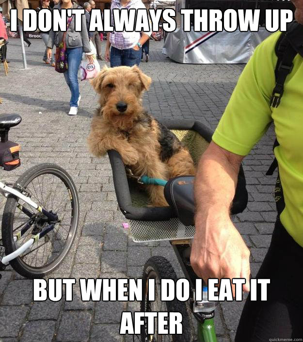 I don't always throw up But when I do I eat it after - I don't always throw up But when I do I eat it after  Most interesting dog in the world
