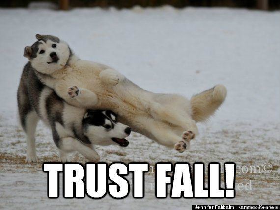  trust fall!  