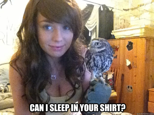 Can I sleep in your shirt? - Can I sleep in your shirt?  I wish I was a parakeet