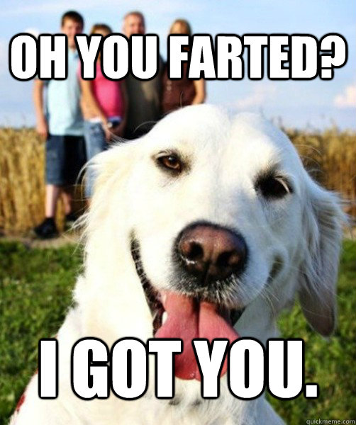 Oh you farted? I got you.  