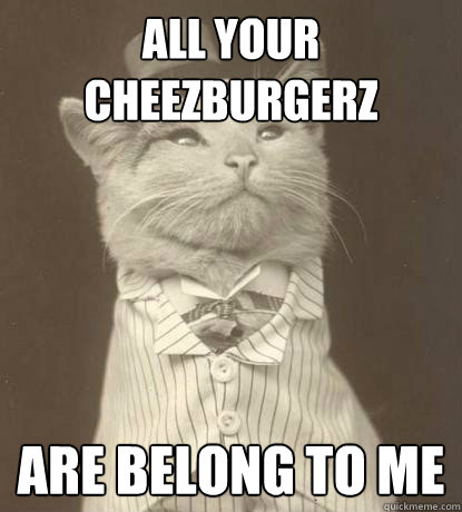 All your Cheezburgerz Are Belong to ME  Aristocat