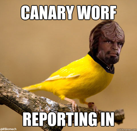 Canary Worf reporting in  Canary Worf