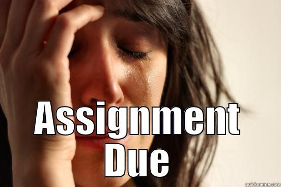  ASSIGNMENT DUE First World Problems