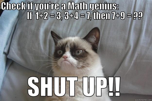 CHECK IF YOU'RE A MATH GENIUS:                               IF  1+2 = 3, 3+4 = 7, THEN 7+9 = ?? SHUT UP!! Grumpy Cat