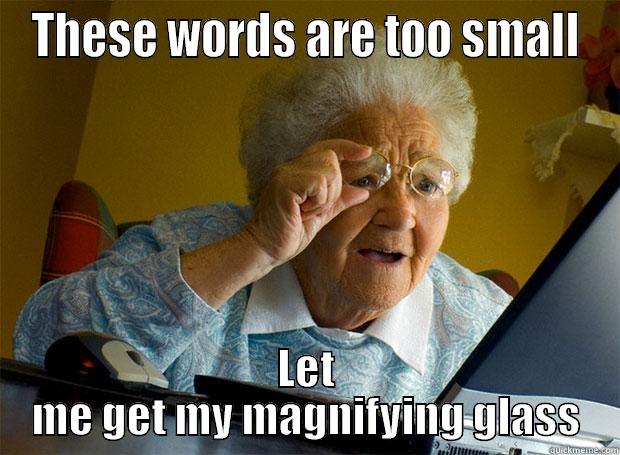 THESE WORDS ARE TOO SMALL LET ME GET MY MAGNIFYING GLASS Grandma finds the Internet