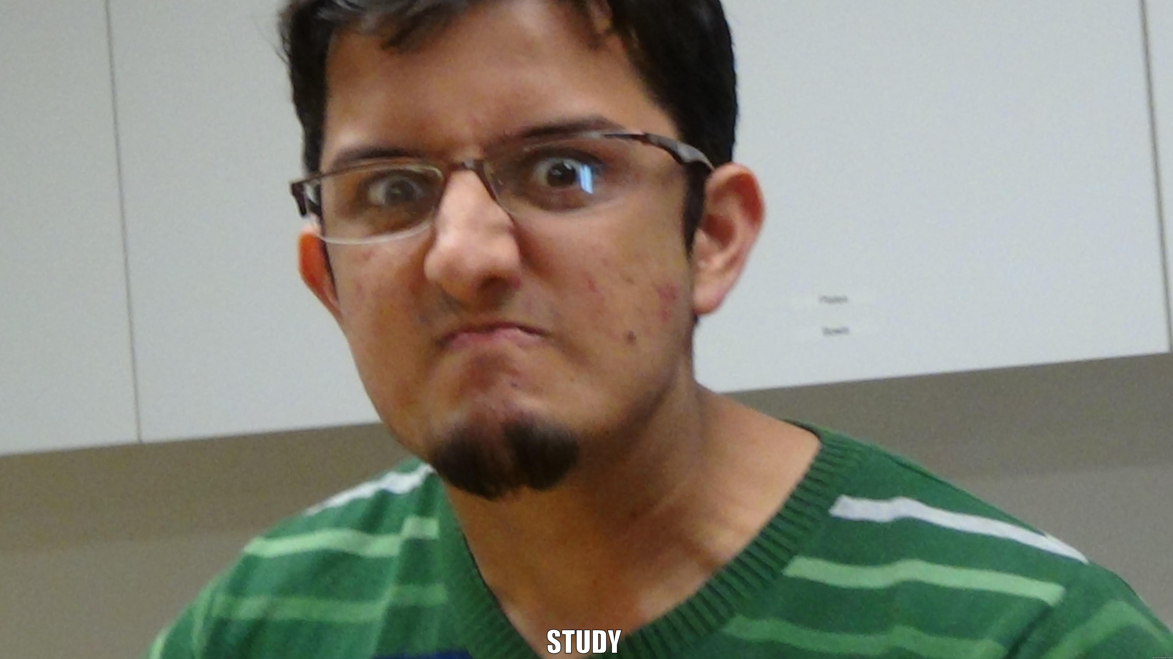 Upa Face -  STUDY Misc