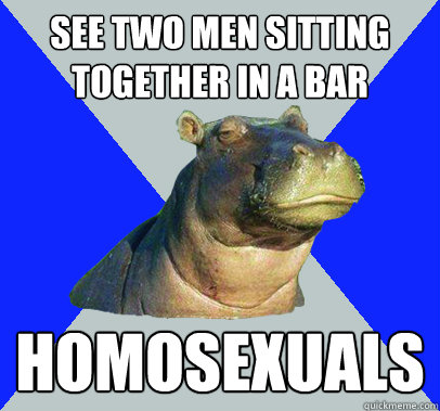 See two men sitting together in a bar homosexuals  Skeptical Hippo
