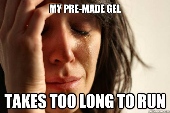 my pre-made gel takes too long to run  First World Problems