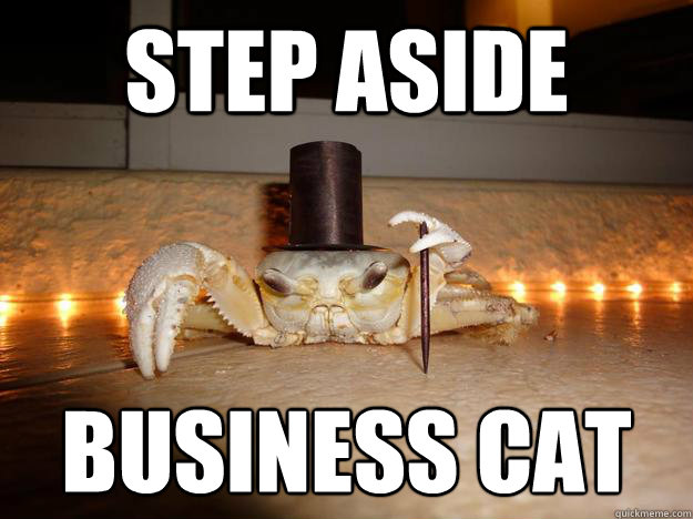 Step aside Business Cat  Fancy Crab