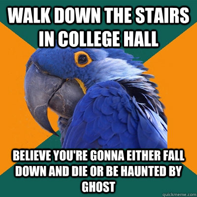 walk down the stairs in college hall believe you're gonna either fall down and die or be haunted by ghost  Paranoid Parrot