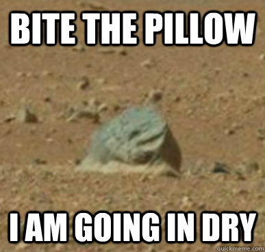 Bite the Pillow I am going in Dry - Bite the Pillow I am going in Dry  Misc