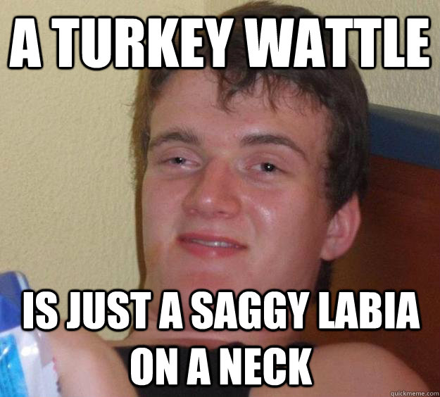 A turkey wattle  is just a saggy labia on a neck - A turkey wattle  is just a saggy labia on a neck  10 Guy