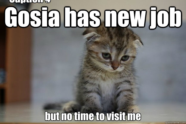 Gosia has new job but no time to visit me Caption 3 goes here Caption 4 goes here  Sad Kitten