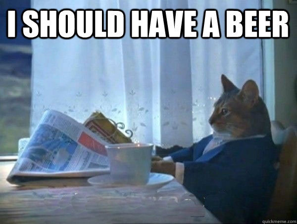 I should have a beer   morning realization newspaper cat meme