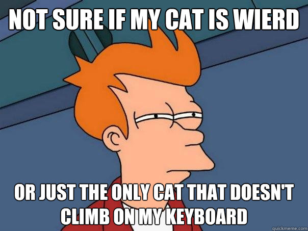 Not sure if my cat is wierd Or just the only cat that doesn't climb on my keyboard  Futurama Fry