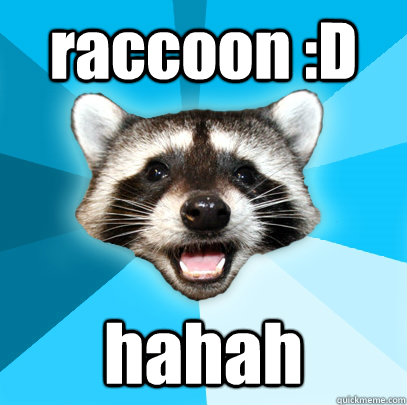 raccoon :D hahah  Lame Pun Coon