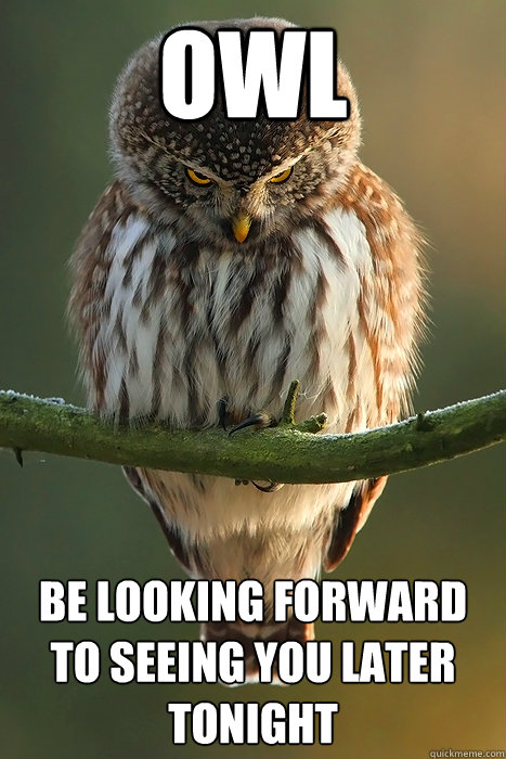 Owl  Be looking forward to seeing you later tonight - Owl  Be looking forward to seeing you later tonight  Stalker Owl