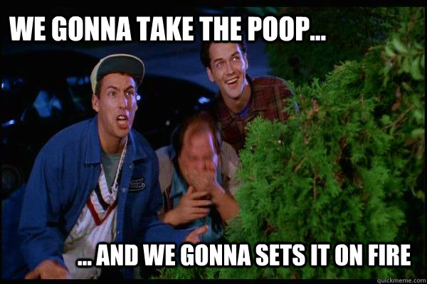 We gonna take the poop...  ... and we gonna sets it on fire - We gonna take the poop...  ... and we gonna sets it on fire  Billy Madison
