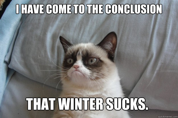 I have come to the conclusion That winter sucks. - I have come to the conclusion That winter sucks.  GrumpyCatOL