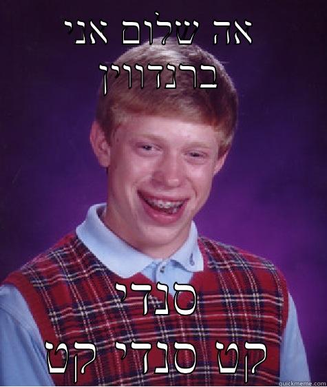 אה שלום אני ברנדווין סנדי קט סנדי קט Bad Luck Brian